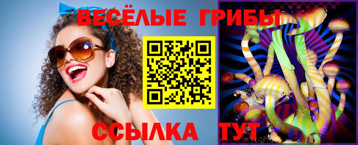 Галлюциногенные грибы мицелий  Вход с VPN  Прокопьевск 
