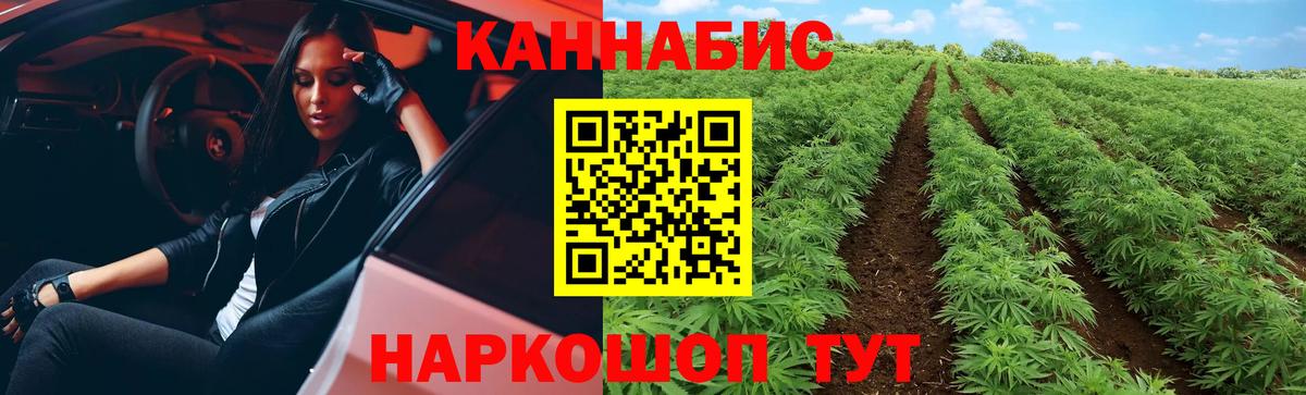 Каннабис конопля  Вход с VPN  Канабис индика  Бошки марихуана Bruce Banner  Прокопьевск 